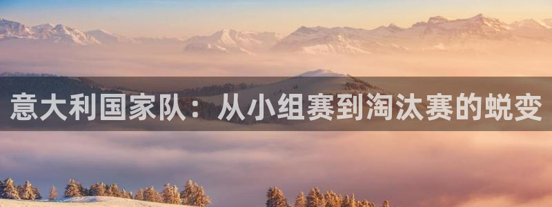世界杯欧洲区预选赛:意大利国家队:从小组赛到淘汰赛的蜕变