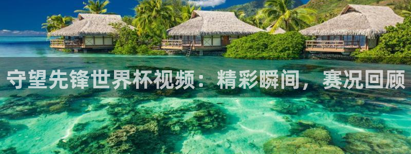 世界杯小组赛赛程:守望先锋世界杯视频:精彩瞬间,赛况回顾