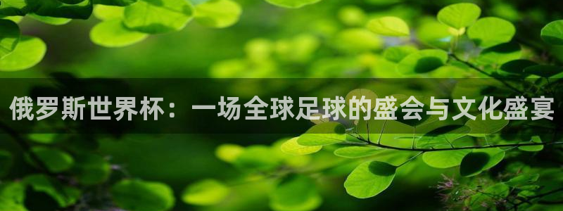 世界杯48支球队赛制：俄罗斯世界杯：一场全球足球的盛会与文化盛宴
