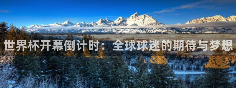 足球比分直播世界杯：世界杯开幕倒计时：全球球迷的期待与梦想