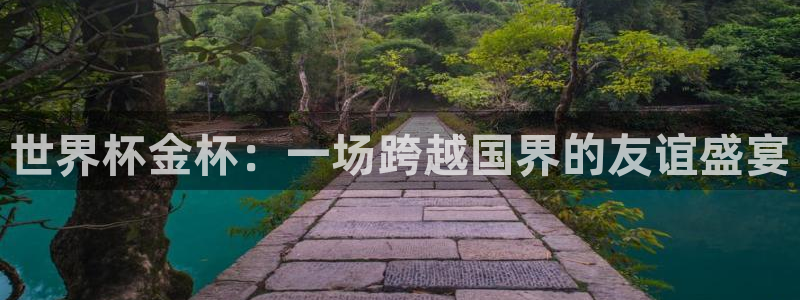 欧洲世界杯预选赛：世界杯金杯：一场跨越国界的友谊盛宴