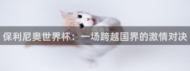 2026世界杯中国队：保利尼奥世界杯：一场跨越国界的激情对决