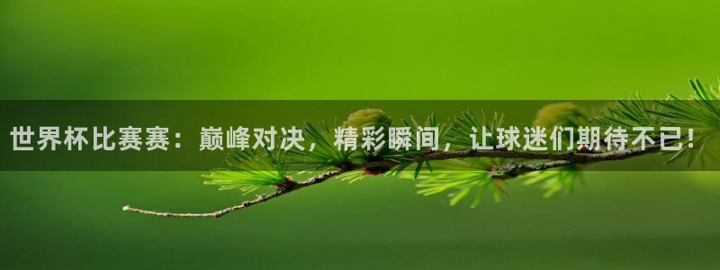 男足世界杯预选赛赛程：世界杯比赛赛：巅峰对决，精彩瞬间，让球迷们期待不已！