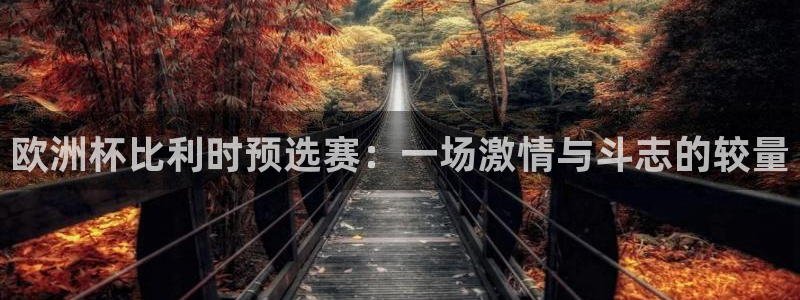 2026世界杯预选赛：欧洲杯比利时预选赛：一场激情与斗志的较量