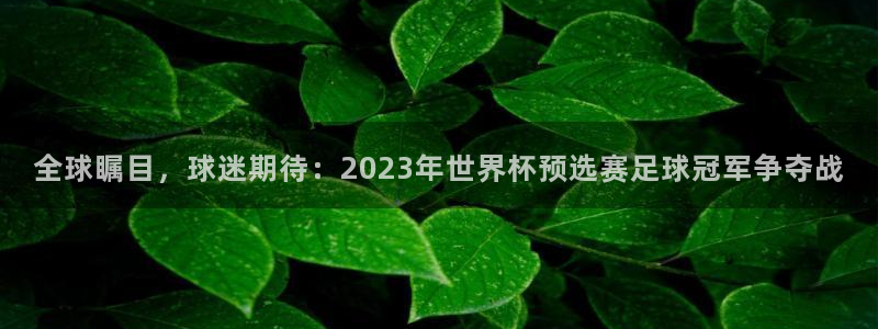 世界杯欧洲区世预赛赛程：全球瞩目，球迷期待：2023年世界杯预选赛足球冠军争夺战