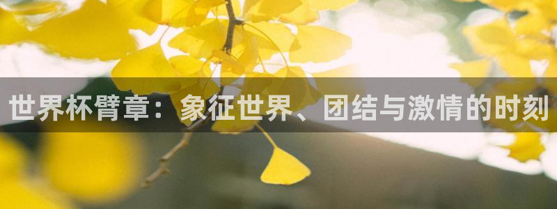 2026年世界杯时间表：世界杯臂章：象征世界、团结与激情的时刻