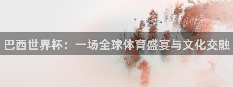 2026世界杯对阵图：巴西世界杯：一场全球体育盛宴与文化交融
