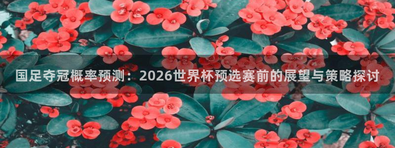 男足世界杯预选赛赛程：国足夺冠概率预测：2026世界杯预选赛前的展望与策略探讨